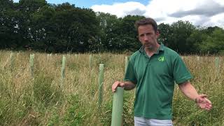 Hear more about the Countryside Stewardship Woodland Creation Grant [upl. by Haramat]