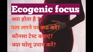 Echogenic focus  Complete Detail In Hindi [upl. by Wandy]