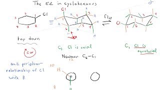 The E2 Reaction in Cyclohexanes 2 [upl. by Wildermuth921]