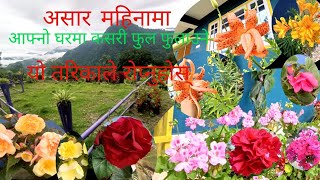 How to care and grow Rainey season flower असार महिनामा मेरो घरमा फुलेको फूलहरू देखाउँदै छु। [upl. by Noel]