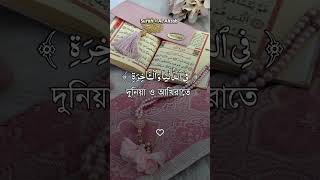 Quran Tilawat [upl. by Enitnelav245]