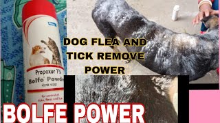 Best Tick Powder For Dog  Flea And Tick Remove For 2 Minutes In Dogs Body [upl. by Aldon]