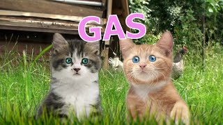 Gas  Rathergood Chat episode 8 [upl. by Anelegna]