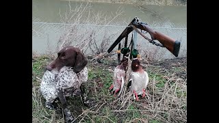 Lov na divlje patke i guskeDuck amp Goose hunting [upl. by Nomahs]