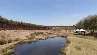 Epic FPV Drone Flight Through Camping Tent at Pear Orchard Mpumalanga [upl. by Elton]