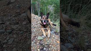 Minnie Gulch OHV Trail  Silverton Colorado [upl. by Donelle453]