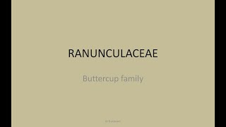 Ranunculaceae family in homoeopathy [upl. by Refynnej]