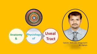 Anatomy amp Physiology of Uvea [upl. by Eimmit]