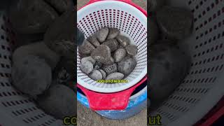 PROGRESS  Petoskey Stones 3rd Stage Tumble [upl. by Gelasias]