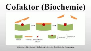 Cofaktor Biochemie [upl. by Lisabet844]