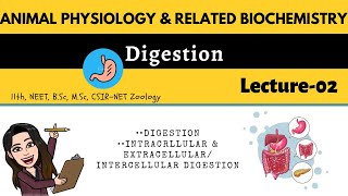 L2 Digestion  Intracellular amp ExtracellularIntercellular DigestionAnimal physiology MSc BSc [upl. by Eeuqram581]