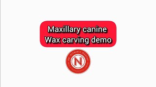 Maxillary canine carving demo Dr NithinK [upl. by Griffie]