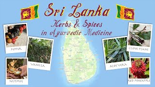 Sri Lanka Herbs and Spices in Ayurvedic Medicine [upl. by Herby]