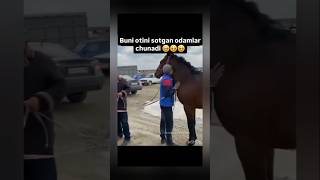 Kozga yosh keldi🥹 Энг Маноли Канал N1🔔reels ibrat instagram ibratli shorts rek horse love [upl. by Yhtnomit]