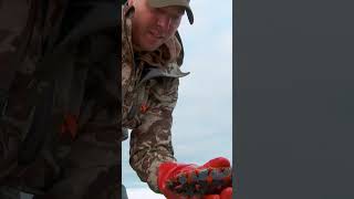 Check out another classic episode of MeatEater now on our channel meateater outdoorchef [upl. by Burkhart]