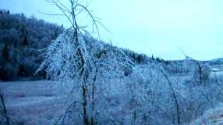 ice storm savoy ma 2008 [upl. by Anomas]