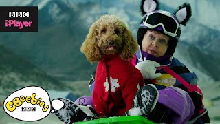 Waffle the Wonder Dog Song  Friends and Family  CBeebies [upl. by Cathrine]