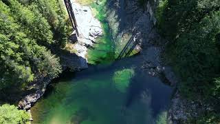 Nimpkish River Salmon [upl. by Monica]