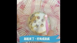 【小蘇打x白醋】抽油煙機輕鬆去汙Cleaning Uses for Baking Soda  台灣好食材 Fooding [upl. by Oniram]