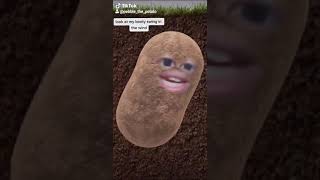 Im a potatooo TikTok by Pebble the Potato [upl. by Rochus400]