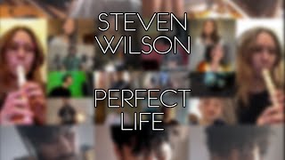 Magner — Perfect Life Steven Wilson cover [upl. by Marlee]