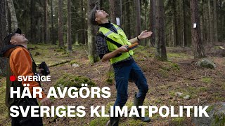 Skogen fångar mindre koldioxid – kan ge högre bensinpris [upl. by Danziger]