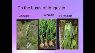 Annualsbiennials and perennialsDiversity of plant forms [upl. by Drarreg621]