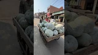 ⚡⚡ Pumpkin Sweet Making Process⚡⚡ shorts telugufoodie esangathulu streetfood foodie omelette [upl. by Asuncion579]