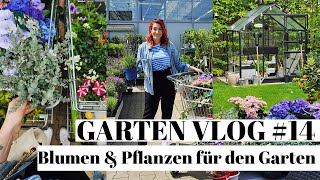 Garten Vlog 14 Blumen und Pflanzen für den Garten  Gartencenter Haul 2023  Sabrina Sterntal [upl. by Mehelhteb]