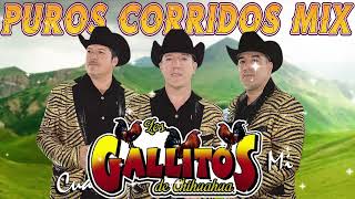 Los Gallitos de Chihuahua  Puros Corridos Exitos [upl. by Ormsby]