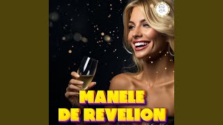 Manele de Revelion 2024  Hiturile Anului 2024 [upl. by Enilaf]