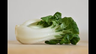 Bok Choy 101Nutrition amp Health Benefits [upl. by Sheena]