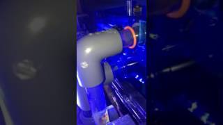 Aquamaxx HOB1 Protein Skimmer tips [upl. by Ronnholm]