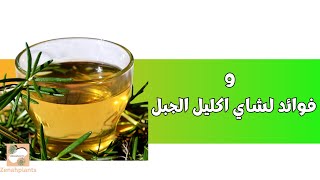 9 فوائد لشاي الروزماري يجب أن تعرفها ☕🌿✔ [upl. by Starr]