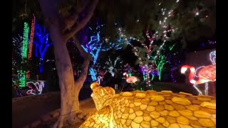 Cruise through Phoenix ZooLights this holiday season [upl. by Lainey]