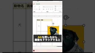 秒速でセルに画像を埋め込む方法 エクセル初心者 エクセル エクセル学習 エクセル関数 エクセル仕事 エクセル便利技 [upl. by Christye137]