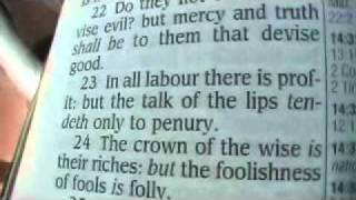 Proverbs 14 King James Holy Bible [upl. by Amehsyt]