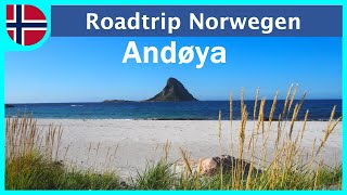 Das stille Andøya  Roadtrip Norwegen Teil 4 [upl. by Vinay]