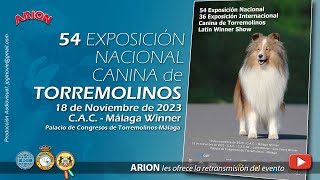 54 Exposición Nacional Canina de Torremolinos 2023 [upl. by Reinhard]