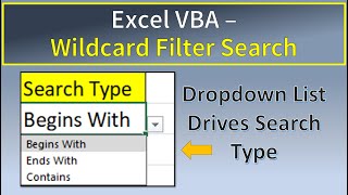 Excel VBA Wildcard Filter Search [upl. by Reg]