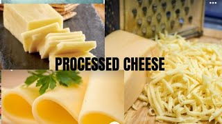 अब घरपे ही बनाइये Perfect Cheese और मन भरके खाइयेProcessed CheeseViralvideoCheese [upl. by Yeltsew]