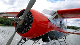 Pilots Dream DHC2 Beaver Left Seat Checkout  Why I went to Alaska [upl. by Etnoek359]