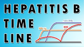 Hepatitis B CDC Viral Hepatitis Serology Training [upl. by Ihcekn]