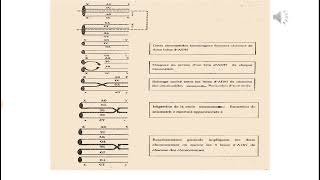 Génétique moléculaire  Cours Genetique 2 [upl. by Adyeren931]