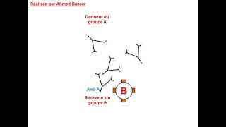 Mécanisme de lhémagglutination [upl. by Eiggam]