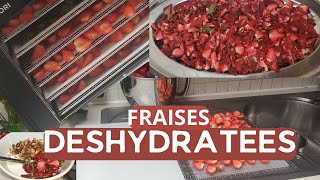 Cest la saison des fraises DESHYDRATER les FRAISES pour aromatiser son YAOURT et GRANOLA maison [upl. by Anerev159]