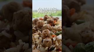 24g Protein Fried Rice  Craziest Flavour [upl. by Atsyrt803]