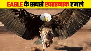 Top 10 Eagles Hunting Their Prey Without Mercy  in Hindi  part  2 [upl. by Nnayram]