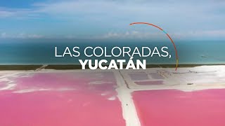 ¡El paraíso en la tierra Carolina Rocha visita Las Coloradas en Yucatán [upl. by Segroeg]