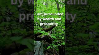 Prosperity Now  Abundance Affirmations with Soothing Beats [upl. by Girvin293]